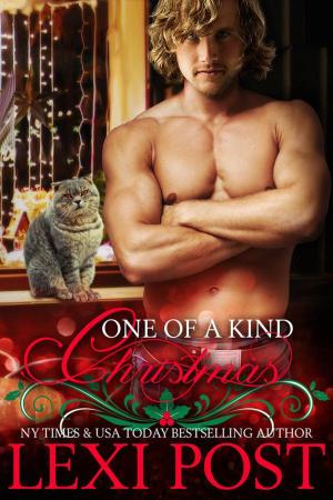 Cover of the book One of a Kind Christmas by Lexi Post