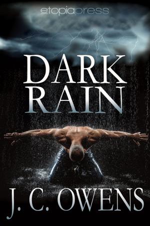 Cover of the book Dark Rain by Sue Lyndon