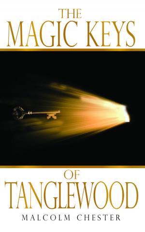 Cover of The Magic Keys of Tanglewood by Malcolm Chester, Lettra Press LLC
