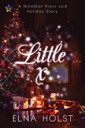 Cover of the book Little x by CL Mustafic