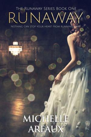 Cover of the book Runaway by Lisa Colodny