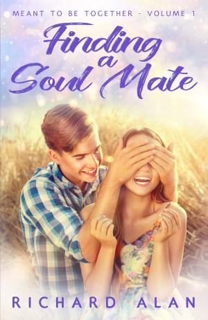 bigCover of the book Finding a Soul Mate by 
