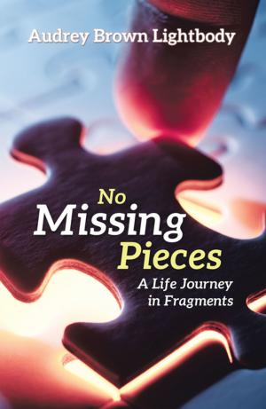 Book cover of No Missing Pieces