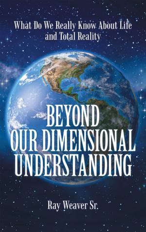 Cover of the book Beyond Our Dimensional Understanding by Steven J. Hawley