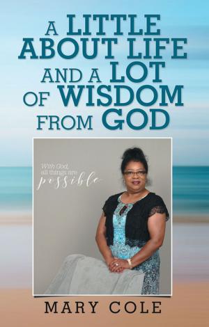 Cover of the book A Little About Life and a Lot of Wisdom from God by Terry Harris
