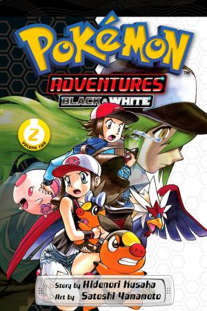 Cover of the book Pokémon Adventures: Black and White, Vol. 2 by Kaori Yuki