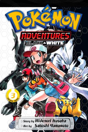 bigCover of the book Pokémon Adventures: Black and White, Vol. 3 by 