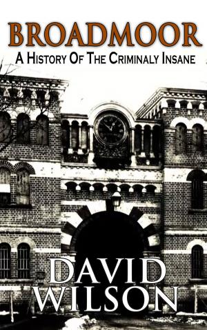 Cover of the book Broadmoor by Sir Arthur Conan Doyle
