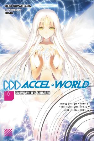 Cover of the book Accel World, Vol. 16 (light novel) by Souta Kuwahara