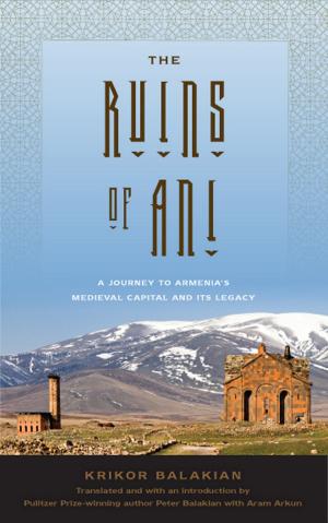 Cover of the book The Ruins of Ani by Colin Gunckel