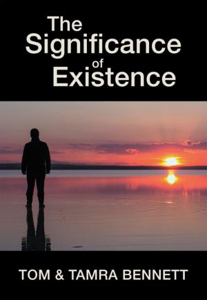 Book cover of The Significance of Existence