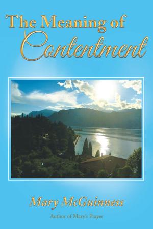 Cover of the book The Meaning of Contentment by B.L. Stonaker