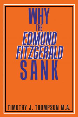 Cover of the book Why the Edmund Fitzgerald Sank by Huguette Castaneda