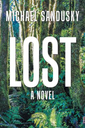 Cover of the book Lost by Stan Pollack