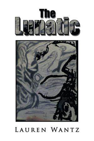 Cover of the book The Lunatic by Edward Boyer