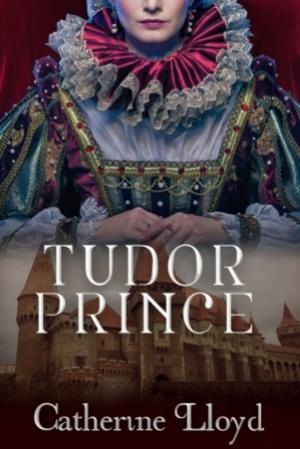 Cover of the book The Tudor Prince by David Bishop