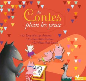 Cover of the book Des contes plein les yeux by Jean de La Fontaine