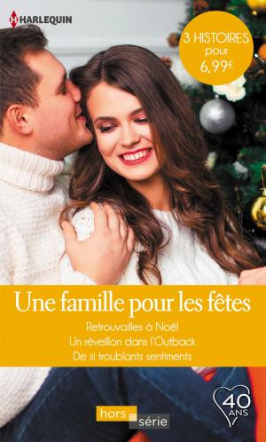 Book cover of Une famille pour les fêtes