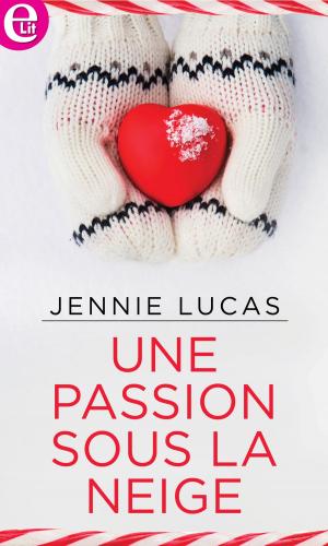 Cover of the book Une passion sous la neige by Elizabeth Duke