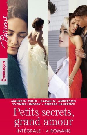 Cover of the book Intégrale de la série "Petits secrets, grand amour" by Susan Mallery