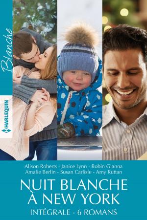 Cover of the book Intégrale de la série "Nuit blanche à New York" by Nan Dixon
