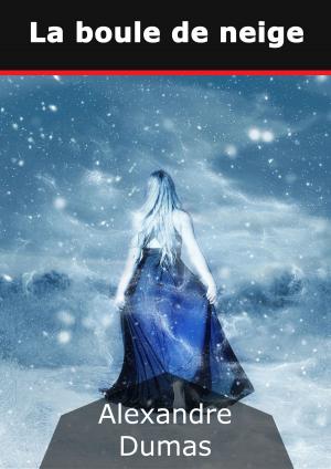 Cover of the book La boule de neige by Annie Hruschka