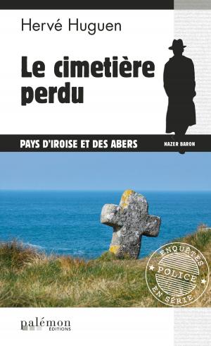 Cover of the book Le cimetière perdu by Dan Grant