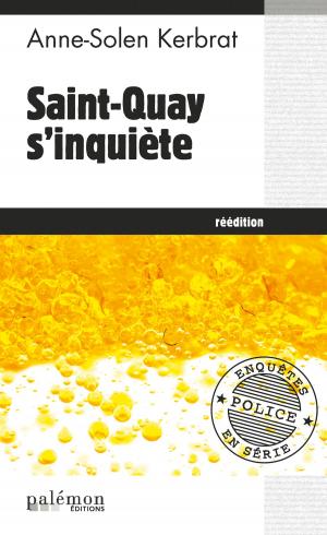 Cover of the book Saint Quay s'inquiète by Hervé Huguen
