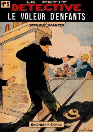 Book cover of Le voleur d'enfants