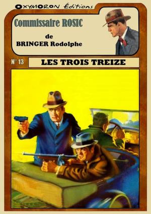 Cover of the book Les trois Treize by André Lichtenberger, René Pujol, Jacques Bellême, Louis-Ernest Chevalier