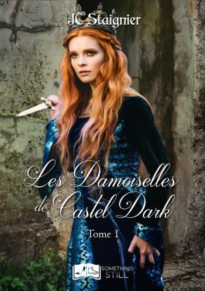 Cover of the book Le Destin des coeurs perdus, tome 1 : Les Damoiselles de Castel Dark by Stefy Québec