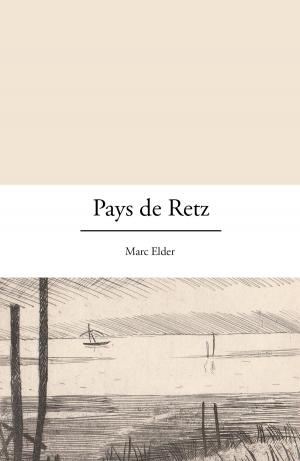 Cover of the book Pays de Retz by François Vivez