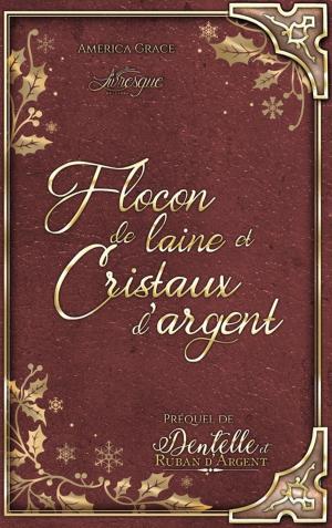 Book cover of Flocon de laine & Cristaux d'argent