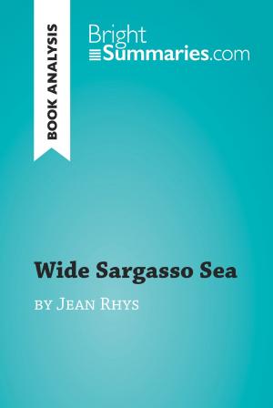 Cover of the book Wide Sargasso Sea by Jean Rhys (Book Analysis) by Bright Summaries