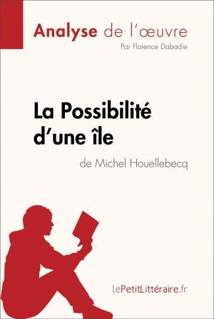Cover of the book La Possibilité d'une île de Michel Houellebecq (Analyse de l'oeuvre) by Hadrien Seret, lePetitLittéraire.fr