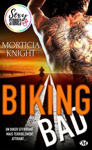 Cover of the book Biking Bad - Sexy Stories by Blandine P. Martin