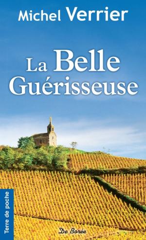 Cover of the book La Belle guérisseuse by Michel Giard