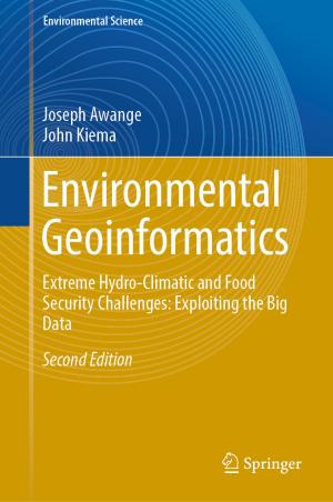 Cover of the book Environmental Geoinformatics by 