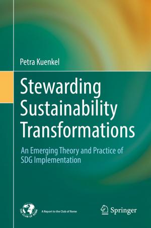 Cover of the book Stewarding Sustainability Transformations by Eustogio Wanderley Correia Dantas