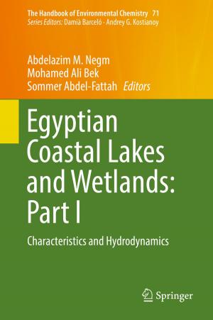 Cover of the book Egyptian Coastal Lakes and Wetlands: Part I by Federica Sist
