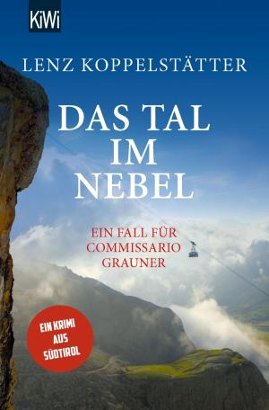 Cover of the book Das Tal im Nebel by Alina Bronsky