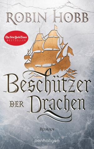 Cover of the book Beschützer der Drachen by Trudi Canavan