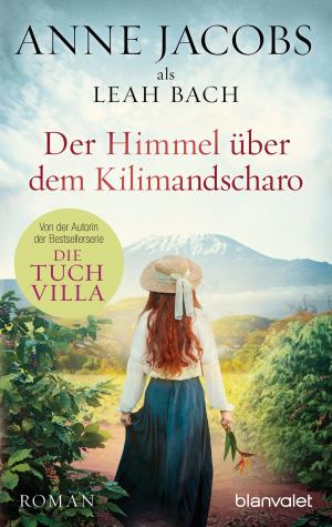 Cover of the book Der Himmel über dem Kilimandscharo by Torsten Fink