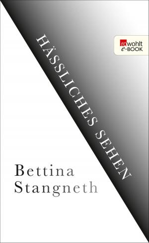 Cover of the book Hässliches Sehen by Renate Bergmann
