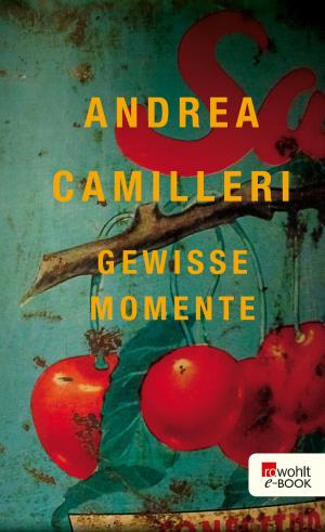 Cover of the book Gewisse Momente by Nicolas Remin