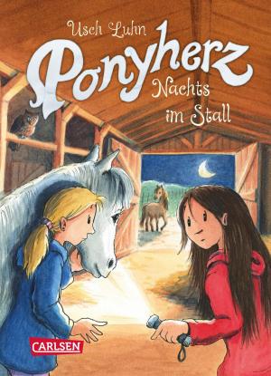 Cover of the book Ponyherz 6: Nachts im Stall by Julia Boehme