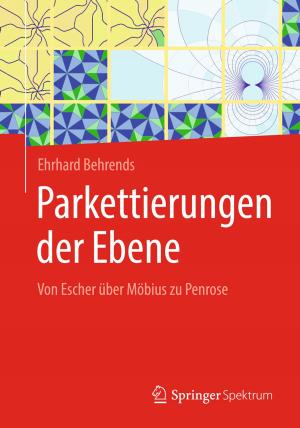 Cover of the book Parkettierungen der Ebene by Olaf Kühne, Antje Schönwald