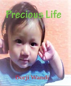 Book cover of The Precious Life
