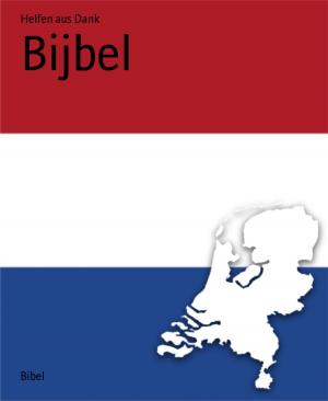 Cover of the book Bijbel by Daniel Bryant
