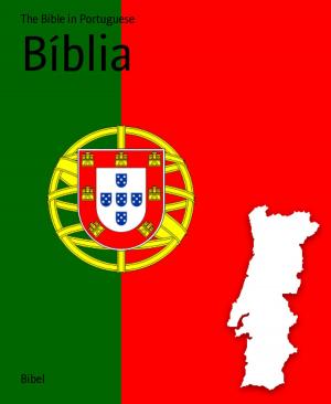 Book cover of Bíblia